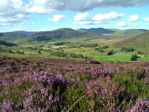 Glenshee Spring