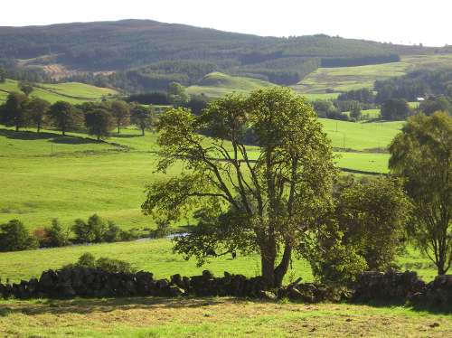 Glenshee Summer